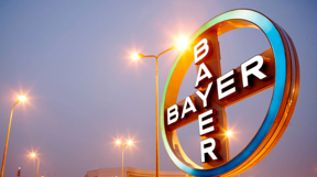 Bayer Study